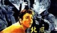 北风在线观看,探寻冬季风情的魅力之旅